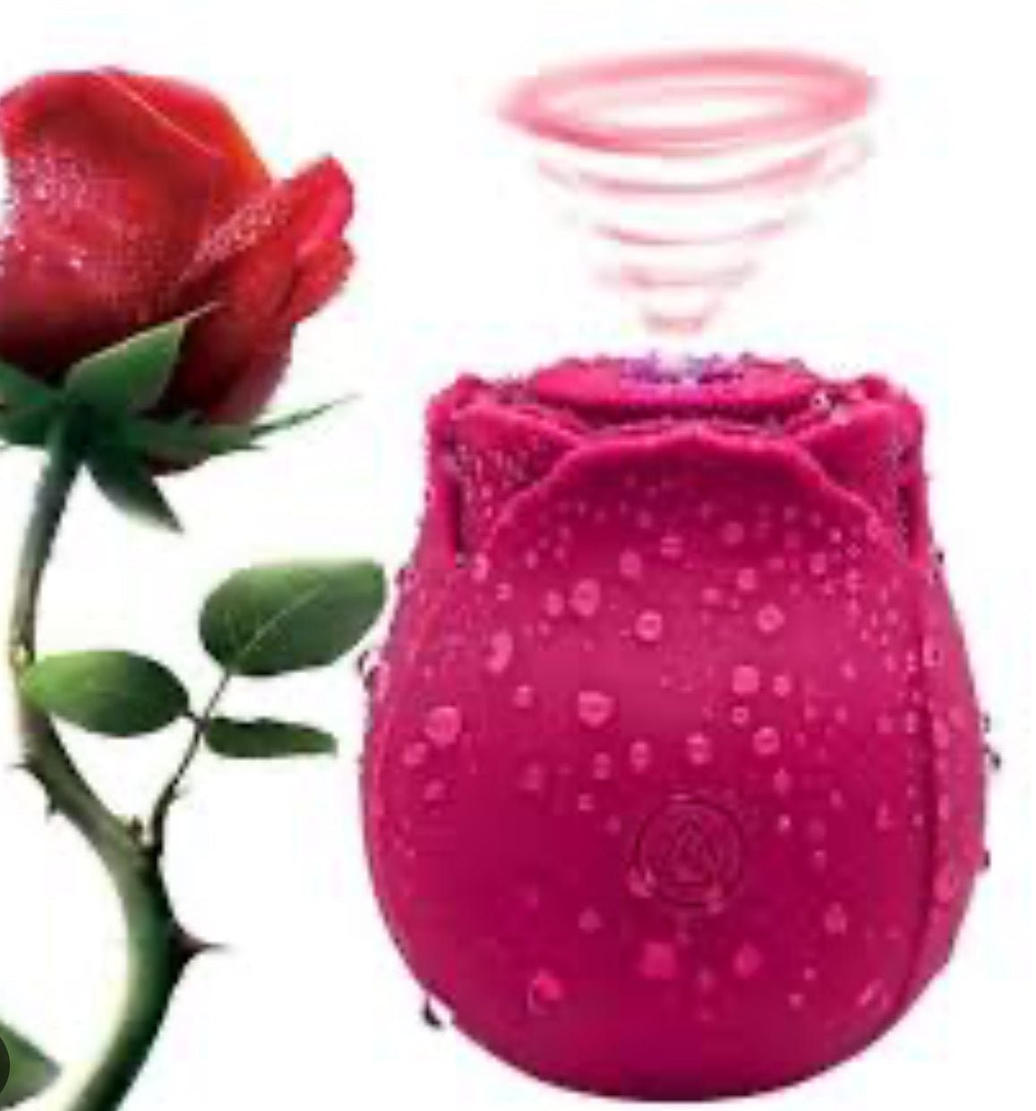 The “Famous Rose”