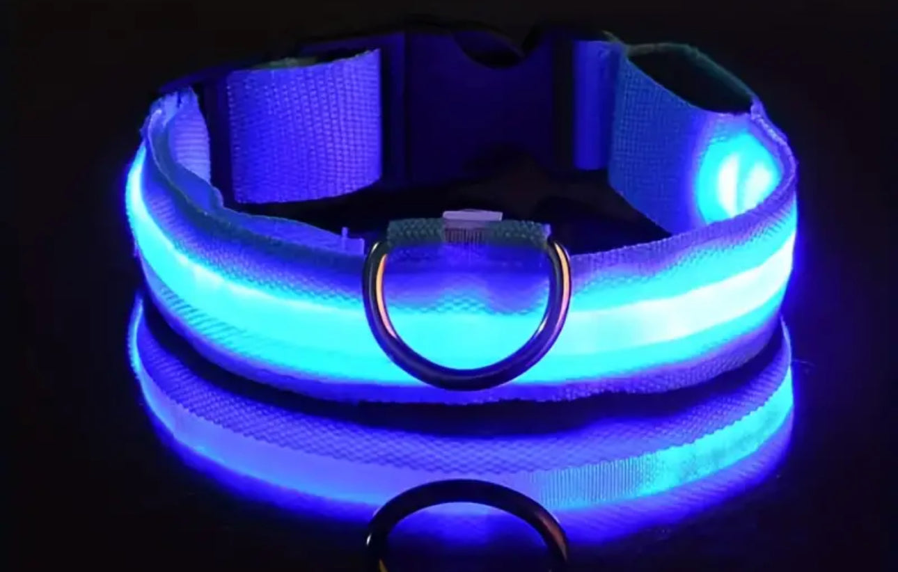 Led Safety Collar For Pets