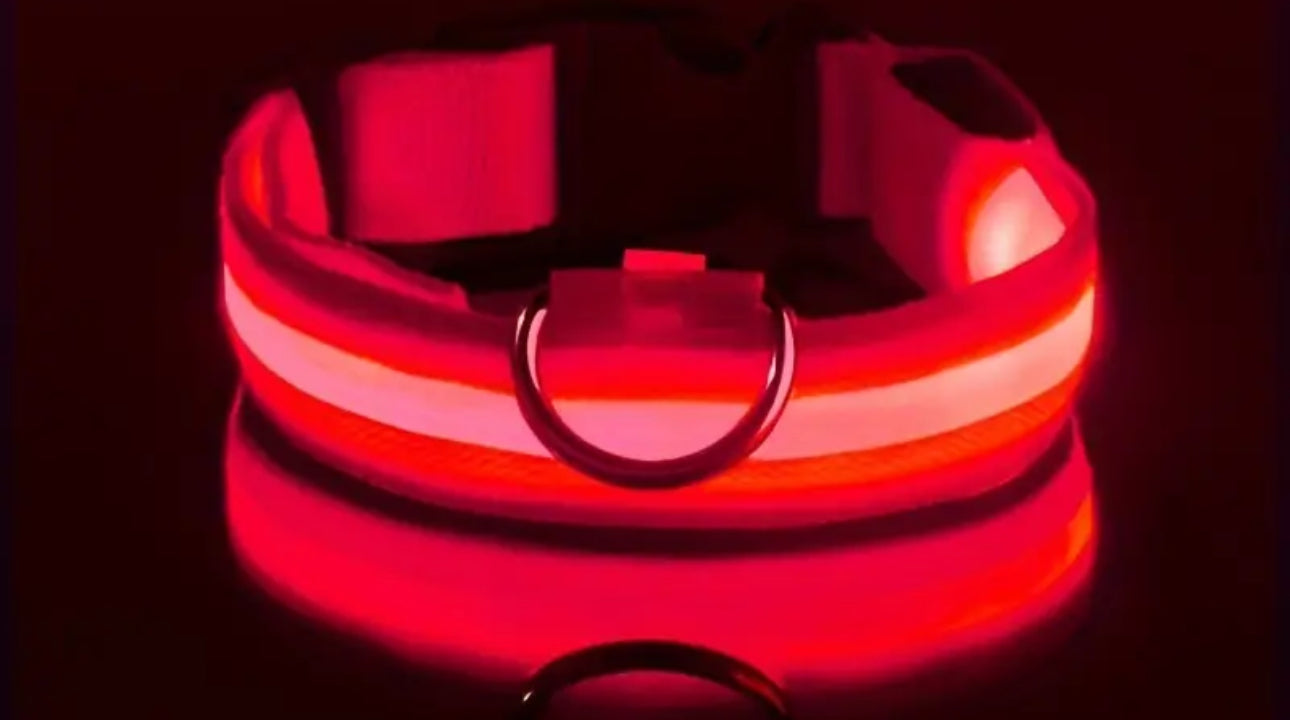 Led Safety Collar For Pets