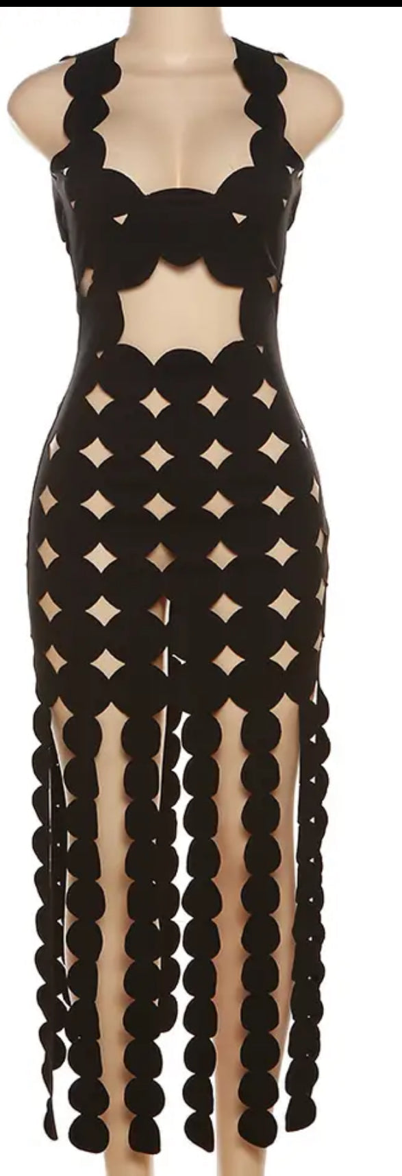 Sexy “You See Me” Dress