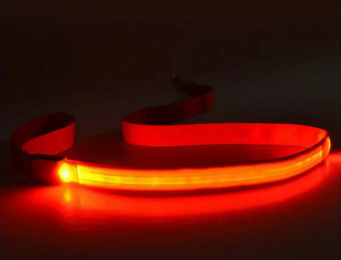 Glow-in-the-Dark LED Dog Leash for Safe Night Walks