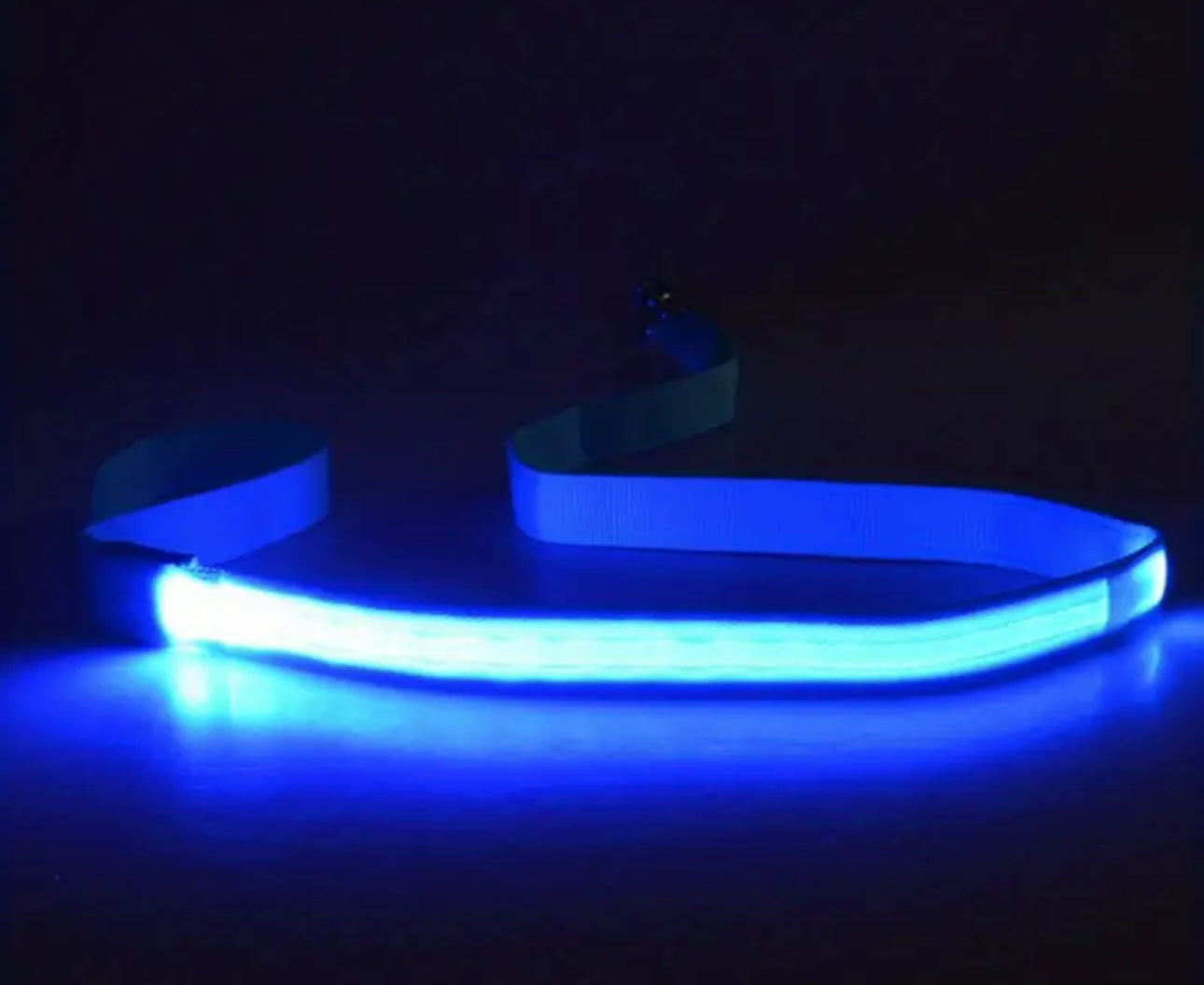 Glow-in-the-Dark LED Dog Leash for Safe Night Walks