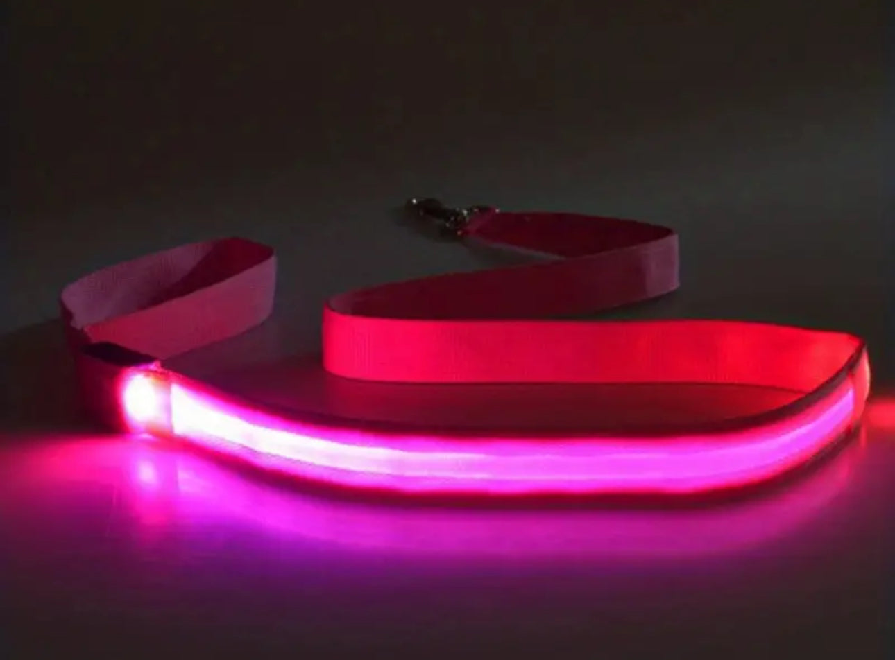 Glow-in-the-Dark LED Dog Leash for Safe Night Walks