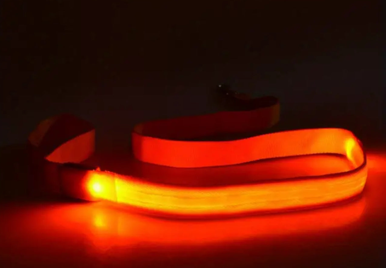 Glow-in-the-Dark LED Dog Leash for Safe Night Walks