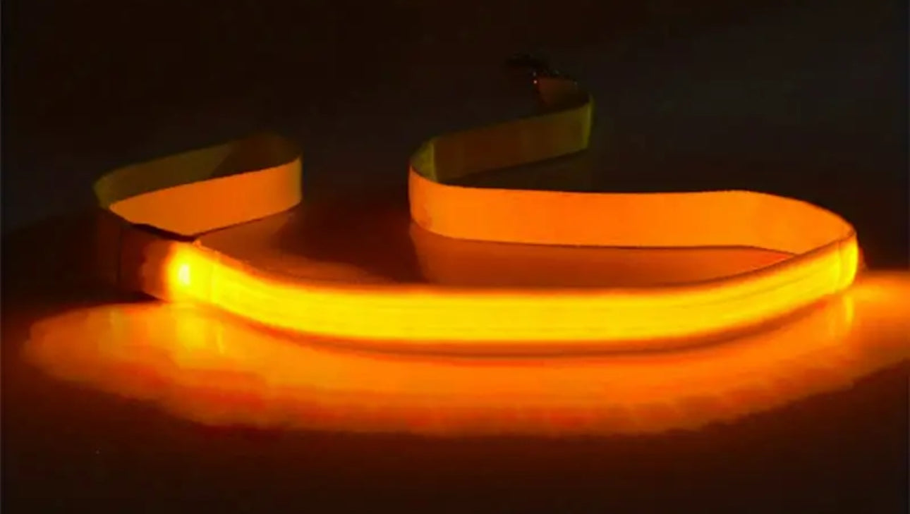 Glow-in-the-Dark LED Dog Leash for Safe Night Walks