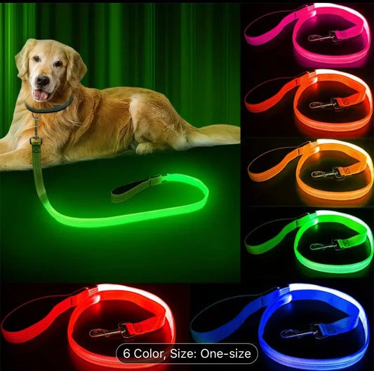 Glow-in-the-Dark LED Dog Leash for Safe Night Walks